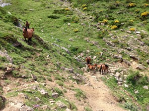 Collado de Salces